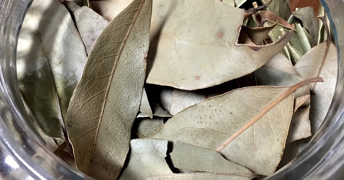 ドライローリエ ドライ月桂樹 レシピ 作り方 By Bakayuka クックパッド 簡単おいしいみんなのレシピが352万品