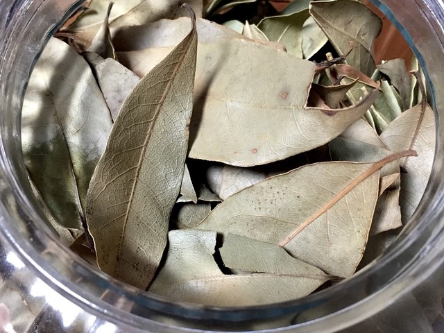 ドライローリエ ドライ月桂樹 レシピ 作り方 By Bakayuka クックパッド 簡単おいしいみんなのレシピが350万品