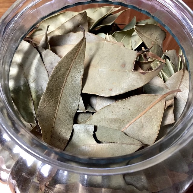 ドライローリエ ドライ月桂樹 レシピ 作り方 By Bakayuka クックパッド 簡単おいしいみんなのレシピが350万品