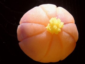 ■じゃがアートの生地■