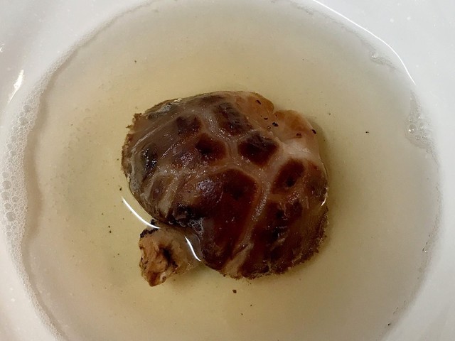 超時短 干し椎茸の戻し方 レシピ 作り方 By Chiima クックパッド