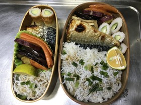 大分の!しらす丼