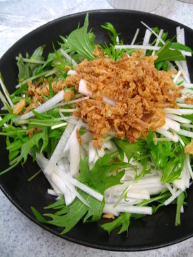オニオンがきめて☆大根と水菜のサラダ