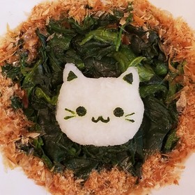 ほうれん草に大根おろしと鰹節を乗せて♡