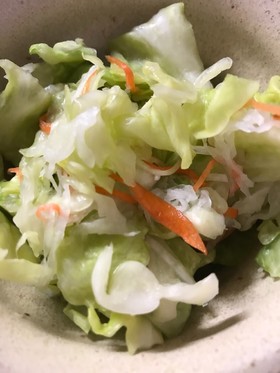 いろいろ浅漬け