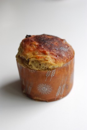 クリスマス 天然酵母でパネトーネ