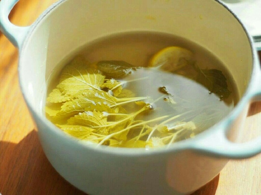 薬膳茶。レモンバームと柚子蜂蜜茶の画像