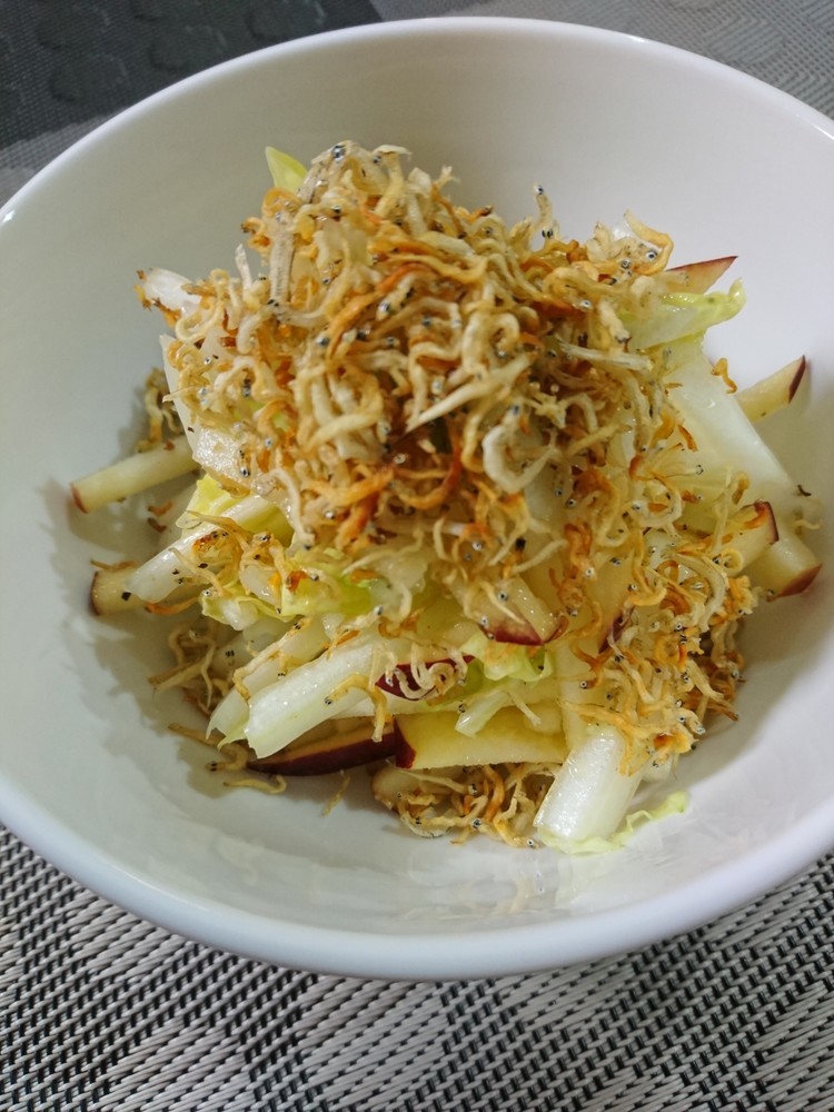 グリル白菜のファトゥーシュサラダのレシピ