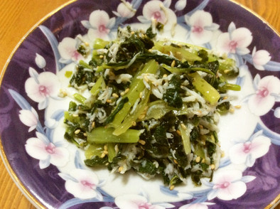 小松菜とシラスのチョレギサラダ風の写真