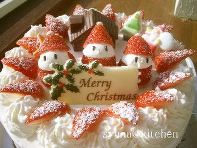2007★苺サンタのクリスマスケーキの写真