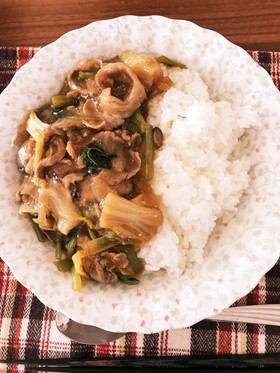 白菜と豚肉のあんかけ中華丼風
