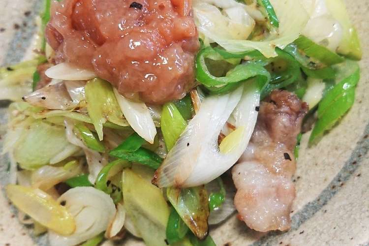 疲労回復風邪予防に 豚バラの梅ネギ乗せ レシピ 作り方 By 狐ト白ノ曼珠沙華 クックパッド 簡単おいしいみんなのレシピが376万品