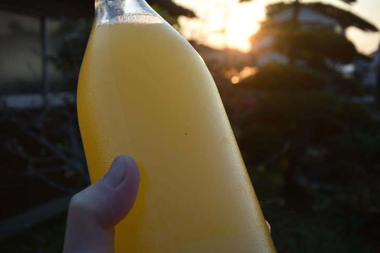 黄色いスダチ 果汁100 絞っただけ レシピ 作り方 By Keetarou33 クックパッド 簡単おいしいみんなのレシピが359万品