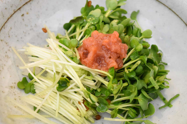 超簡単 カイワレ大根と梅肉のサラダ レシピ 作り方 By スーツでキッチン クックパッド 簡単おいしいみんなのレシピが352万品