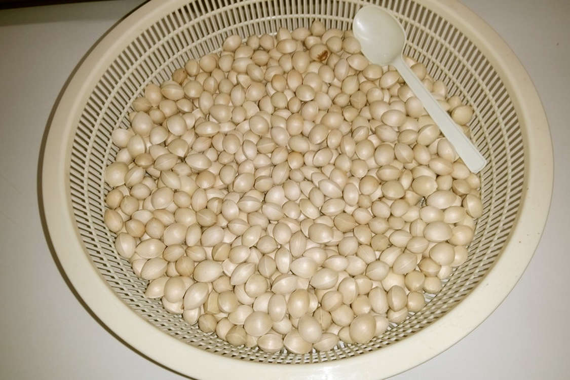 銀杏の実剥き 半自動 レシピ 作り方 By 小料理柳 クックパッド 簡単おいしいみんなのレシピが379万品