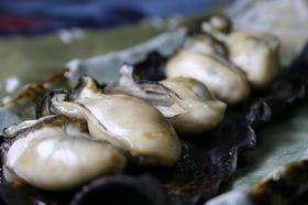 牡蠣の昆布焼き