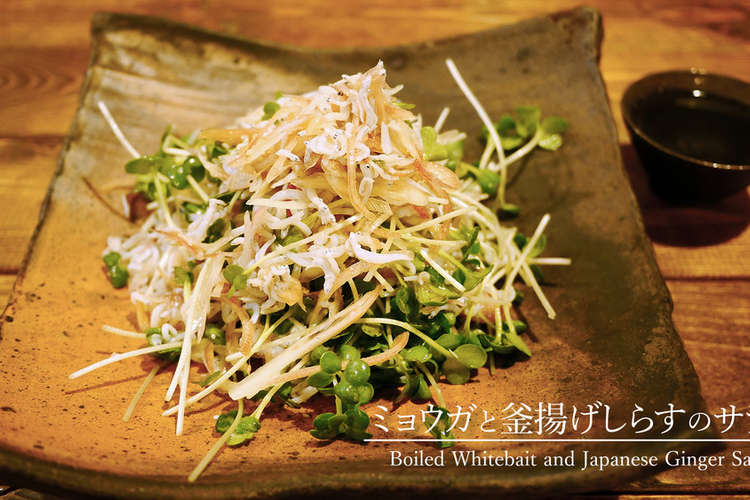 ミョウガと釜揚げしらすのサラダ レシピ 作り方 By こばやしけい クックパッド 簡単おいしいみんなのレシピが361万品