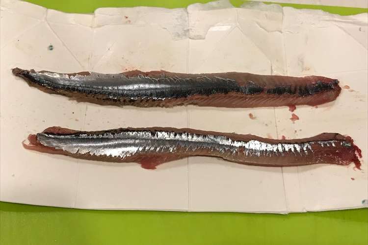 サンマ下処理 簡単に内臓 腹骨 皮の除去 レシピ 作り方 By クックまいななパパ クックパッド 簡単おいしいみんなのレシピが359万品