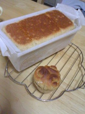素朴なデイリー食パン