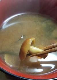 クリタケと乾燥ワカメの味噌汁