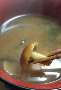 クリタケと乾燥ワカメの味噌汁
