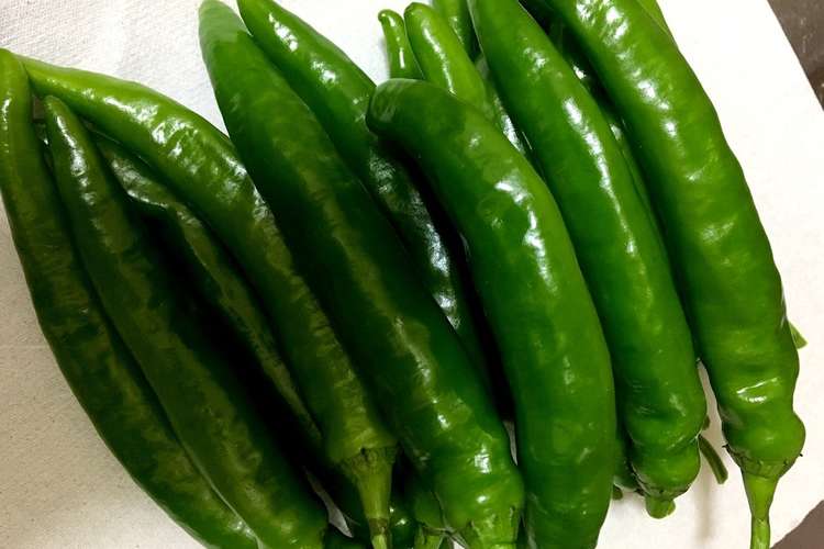 青唐辛子 고추 を冷凍保存しちゃお レシピ 作り方 By ｗｏａｉｎｉ クックパッド