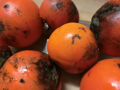 熟れすぎた柿で、大根の柿漬けの写真