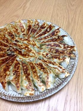 野菜オンリー★ヘルシー餃子