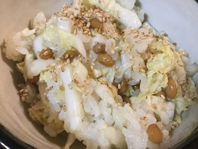 スタミナ源のたれでいただく納豆白菜丼