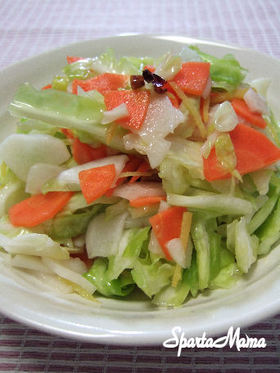 残り野菜のラーパーツァイ風♡