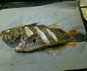 黒ソイの塩焼き