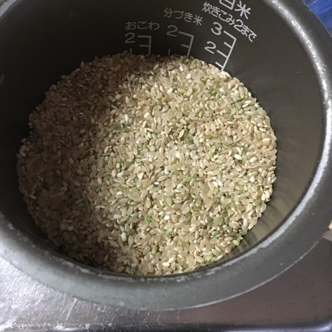 イシイ家の酵素玄米