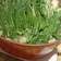 簡単♪水菜と大根のシンプル鍋