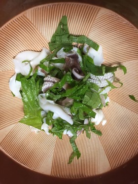 ハリイカゲソ湯通し大葉和え