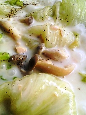 レタスとしめじのクリームシチュー
