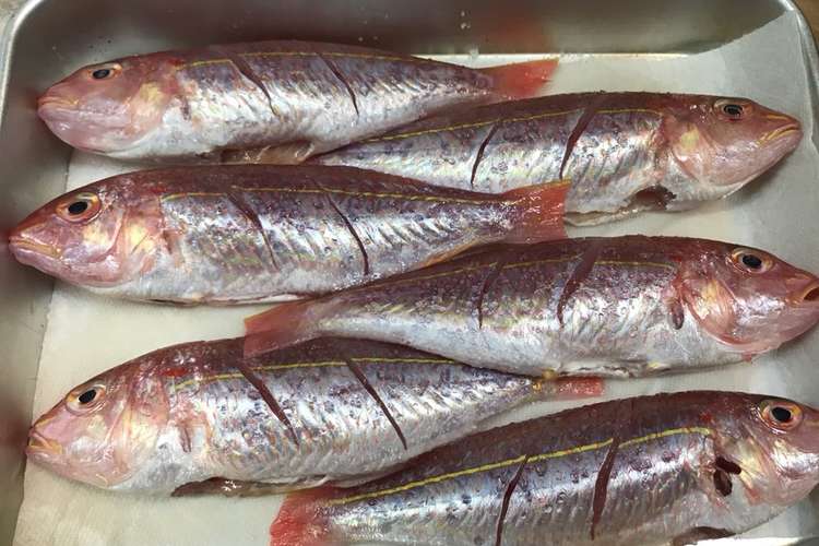 魚の臭みをとる方法 特に鯛類 レシピ 作り方 By Juncoの厨房 クックパッド 簡単おいしいみんなのレシピが367万品