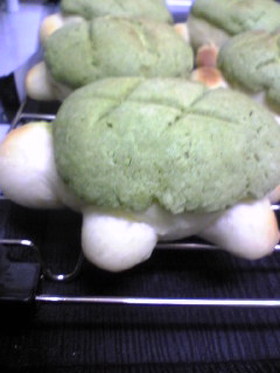 中身が詰まったカメメロンパンo(#)っ