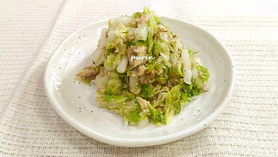 白菜消費に！白菜とサバ水煮缶のサラダの写真