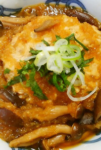 鶏挽き肉で❀和風おろしの煮込みハンバーグ
