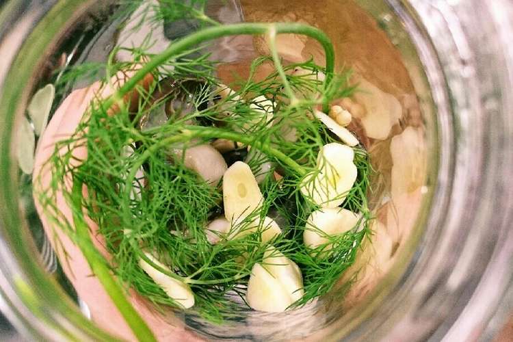 キノコピクルス ディル版 ロシアン珍味 レシピ 作り方 By ボリス屋さん クックパッド 簡単おいしいみんなのレシピが349万品