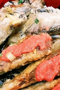 サムライ特製ししゃもと鰯揚焼めんたい丼❤