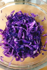 紫キャベツのナムル