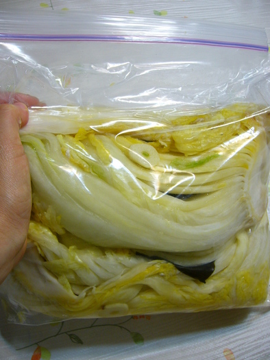 袋保存の白菜漬け：レオン亭の写真