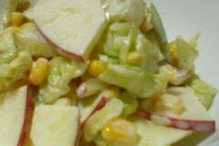 キャベツとりんごのあま い サラダ レシピ 作り方 By Kisaragicats クックパッド