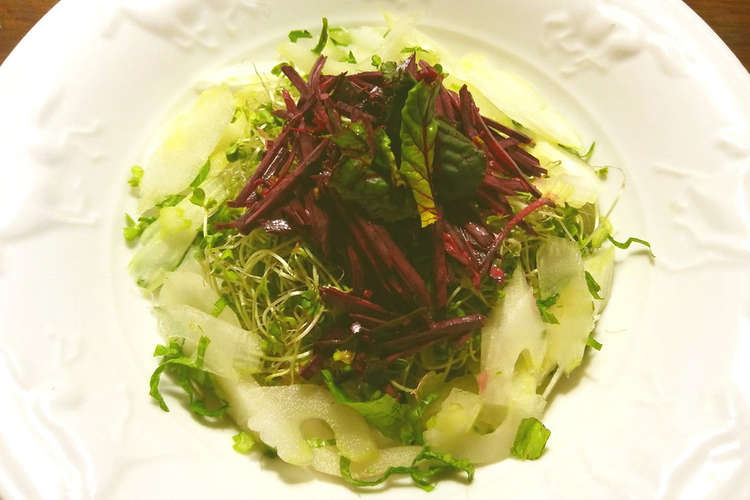 生のビーツ セロリ スプラウトのサラダ レシピ 作り方 By Guzavie クックパッド