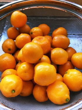 ミラクル金柑の甘露煮