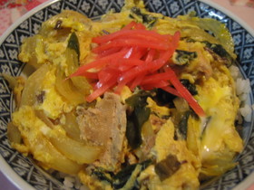 魚好きの人の簡単・美味しい・さば玉どん!
