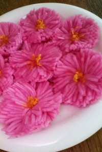 ピンクの菊花かぶ