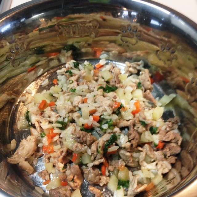 食いつき抜群 老犬用305kcal膳 レシピ 作り方 By でん助めろん クックパッド 簡単おいしいみんなのレシピが354万品