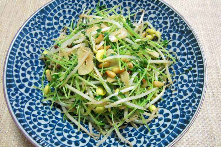 豆もやしと豆苗の花椒炒め レシピ 作り方 By クックgonbao クックパッド 簡単おいしいみんなのレシピが353万品